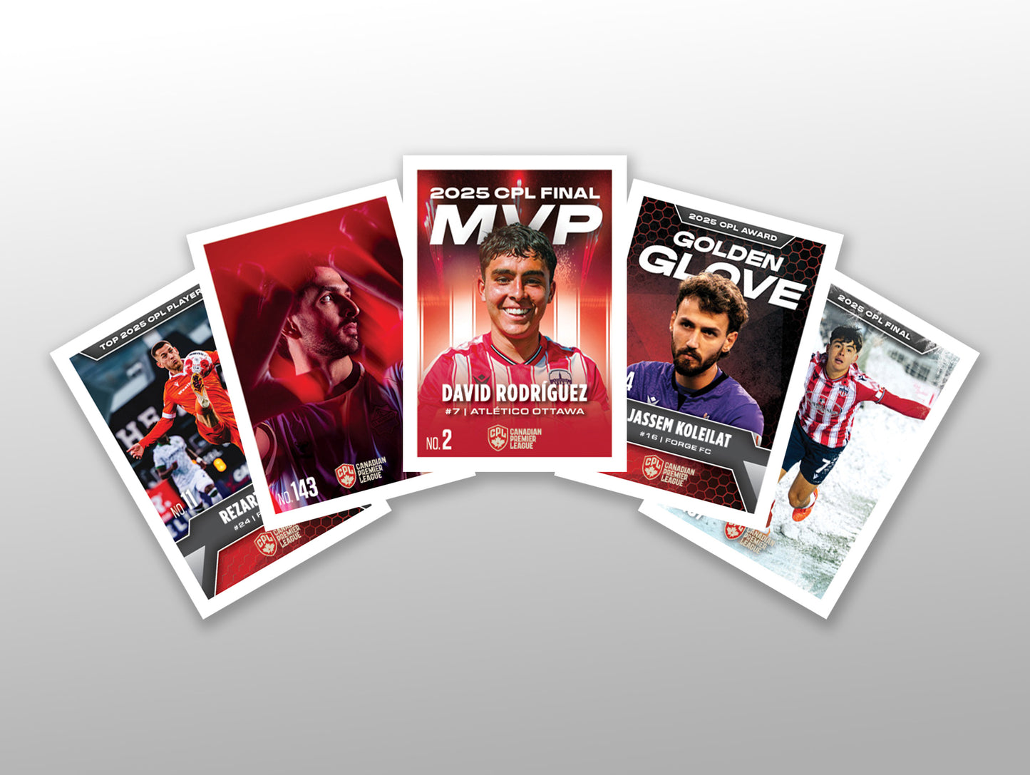 CPL Sticker Display Box (25 Packs)
